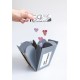 Cutie cadou Surprise